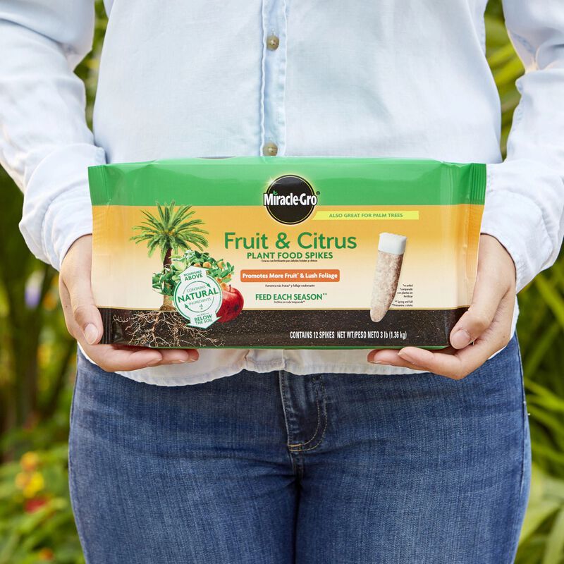 Miracle-Gro® Fruit & Citrus Plant Food Spikes image number null